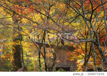 紅葉が美しい京都大原三千院 宸殿から見る往生極楽院 紅葉が美しい京都大原三千院 宸殿から見る往生極楽院 108871030