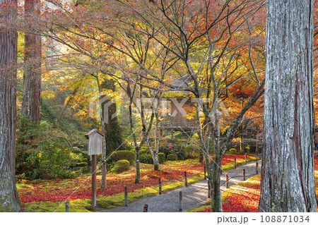 紅葉が美しい京都大原三千院　宸殿から見る往生極楽院 108871034