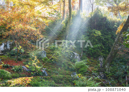 紅葉が美しい京都大原三千院　光射す有清園 108871040
