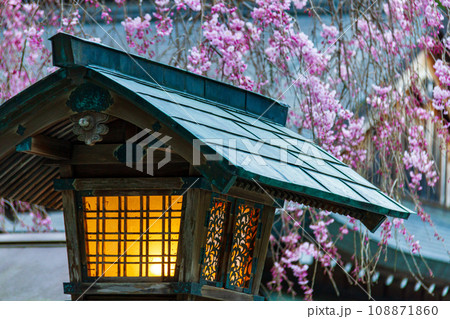 静岡県周智郡森町一宮　小國神社と境内の風景 108871860