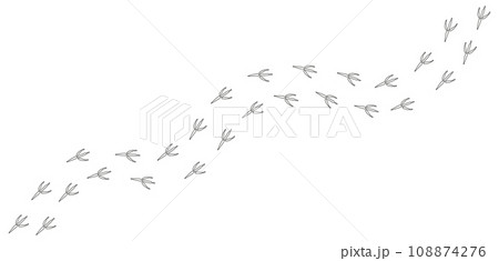 Path of White footprints of crow, raven, magpie, sparrow, dove, bird in the snow. Crow paw print, Contour. Diagonal track. Vector isolated. Pet shop, textile, print, clothing, textile, postcard. 108874276
