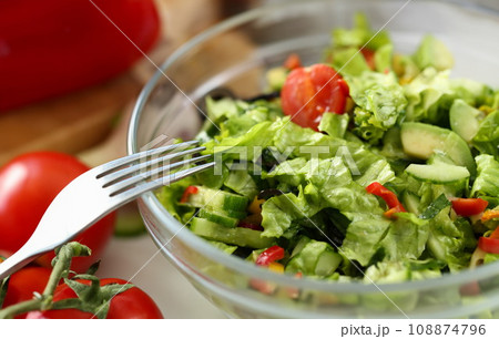 Healthy Chopped Dieting Vegetable Salad Photo 108874796