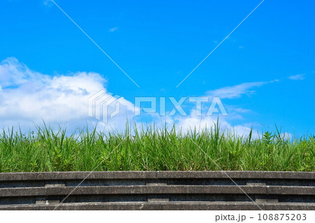 阿賀野川床固め公園（新潟県） 108875203