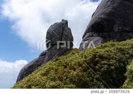 屋久島の永田岳とその周辺の景色 108875616
