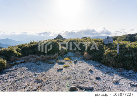 屋久島の永田岳から新高塚小屋間の登山道 屋久島の永田岳から新高塚小屋間の登山道 108877227