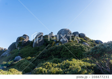屋久島の平石から新高塚小屋間のから見える景色 屋久島の平石から新高塚小屋間のから見える景色 108877231