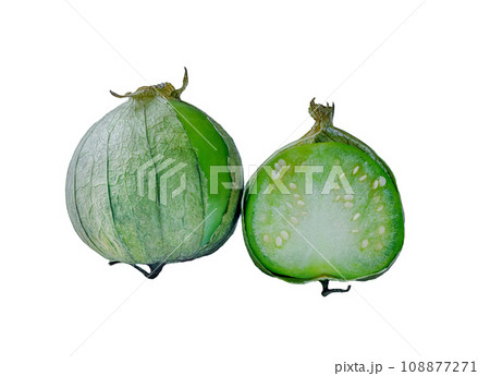 physalis philadelphica. Tomatillo or Mexican husk tomato 108877271