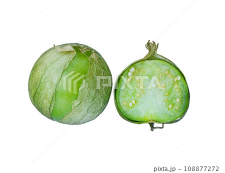 physalis philadelphica. Tomatillo or Mexican husk tomato 108877272