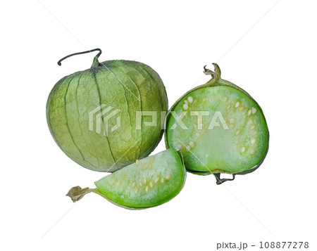 physalis philadelphica. Tomatillo or Mexican husk tomato 108877278