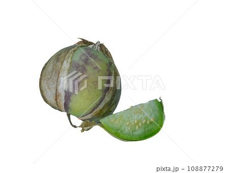 physalis philadelphica. Tomatillo or Mexican husk tomato 108877279