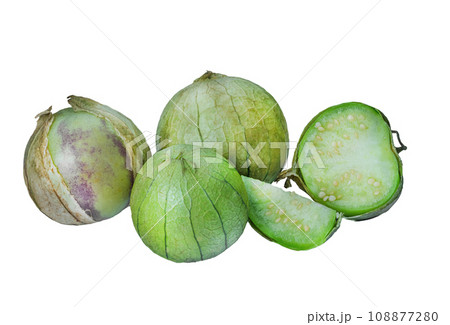 physalis philadelphica. Tomatillo or Mexican husk tomato 108877280