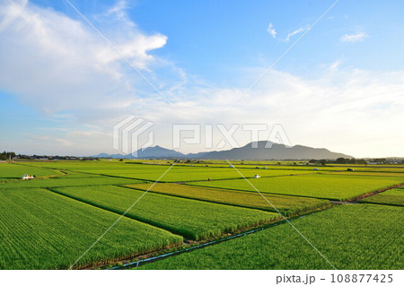 越後平野と弥彦山角田山（新潟県） 108877425