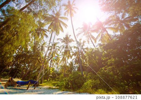 Palm trees against blue sky at tropical coast, background 108877621