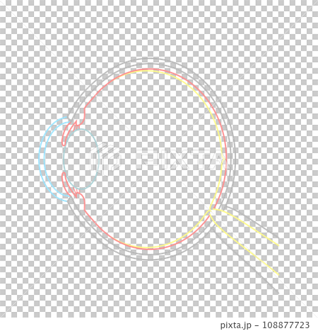軸性遠視の眼球のイラスト 軸性遠視の眼球のイラスト 108877723