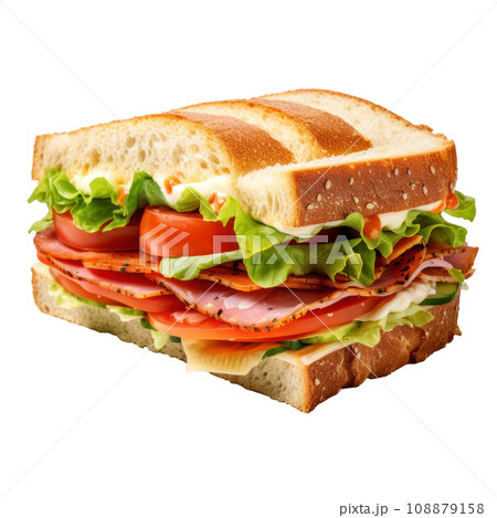 hot tasty sandwitch isolated hot tasty sandwitch isolated 108879158