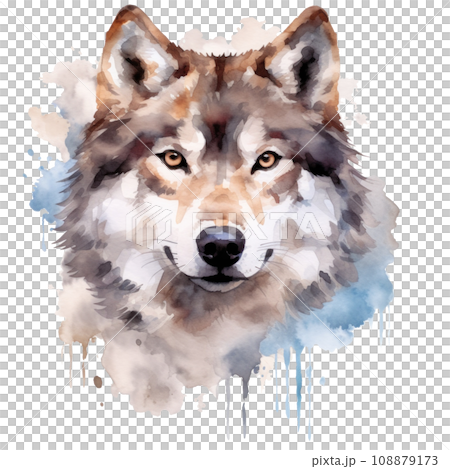 art watercolor art illustration isolated art watercolor art illustration isolated 108879173