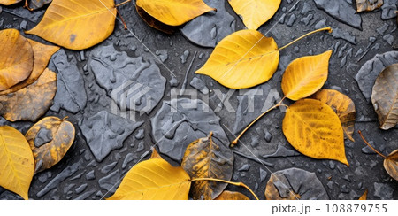 Autumn Background with Yellow Leaves on Old Gray Pavement or Granite Cobblestone Road top View 108879755