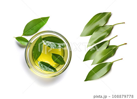 Bay Leaves Tea, Laurel Leaf Drink, Natural Spicy Bayleaf Infusion, Fragrant Beverage, Aromatic Spice Bay Leaves Tea, Laurel Leaf Drink, Natural Spicy Bayleaf Infusion, Fragrant Beverage, Aromatic Spice 108879778