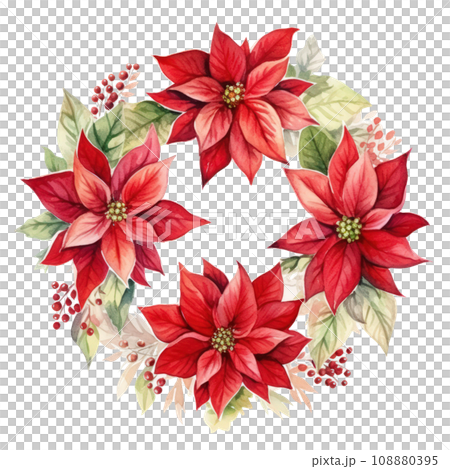 watercolor poinsettia christmas wreath flower isolated watercolor poinsettia christmas wreath flower isolated 108880395