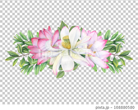 Floral composition with beautiful blooming lotuses and green branches. Water lilies, tea bush leaves. Abstract foliage, sacred lotus flower. Watercolor illustration. For greetings, package, label. 108880580