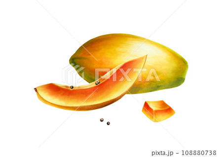 Marker sweet ripe composition of half a papaya with grains watercolor style. Hand drawn realistic tasty organic illustration of exotic tropical fruit isolated on background. For designers, wedding, 108880738