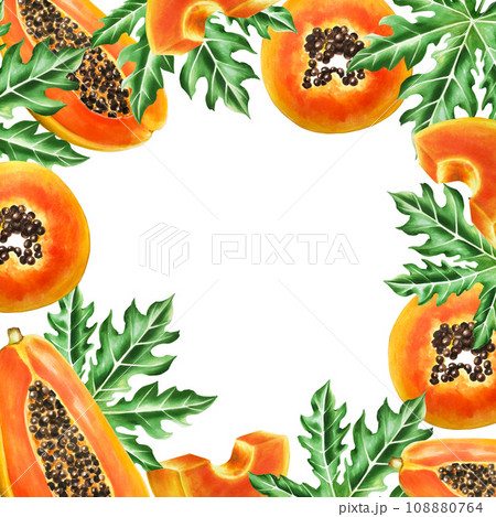 Watercolor frame with sweet ripe slice of papaya with grains. Hand drawn realistic tasty organic illustration of exotic tropical fruit isolated on background. For designers, wedding, decoration, 108880764