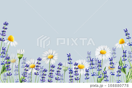 Watercolor banner with lavender and chamomiles illustration isolated on white background. Detail of beauty products and botany set, cosmetology and medicine. For designers, spa decoration, postcards, 108880778