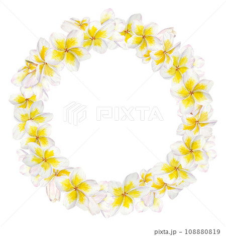 White frangipani wreath. Watercolor hand drawn clip art of exotic flower plumeria. Tropical painting for wedding invitations, spa and massage salon prints, cosmetic packing, travel guides 108880819