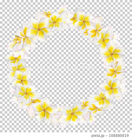White frangipani wreath. Watercolor hand drawn clip art of exotic flower plumeria. Tropical painting for wedding invitations, spa and massage salon prints, cosmetic packing, travel guides 108880819