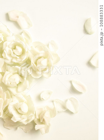 白いバラのブーケ、白背景に白い薔薇の花びら 白いバラのブーケ、白背景に白い薔薇の花びら 108883331