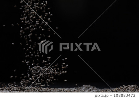 Black Sesame seeds flying explosion, black grain wave floating. Abstract cloud fly splash in air. Sesame seed is material food.  Black background Isolated selective focus blur 108883472