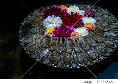 奈良県明日香村にある西国七番札所岡寺の綺麗な花手水を撮影したもの 108883631