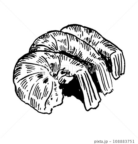 Shrimp drawing 108883751
