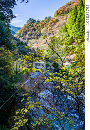秘境の秋の五家荘紅葉風景 秘境の秋の五家荘紅葉風景 108883795