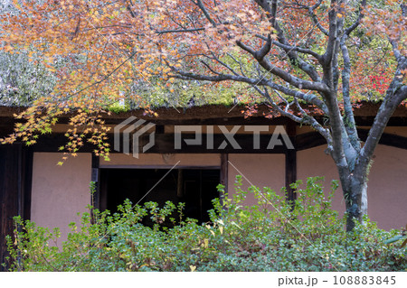 秘境の秋の五家荘紅葉風景 108883845