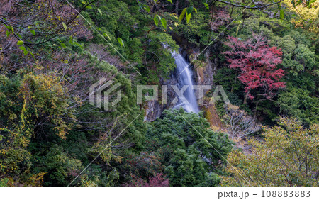 秘境の秋の五家荘紅葉風景 108883883