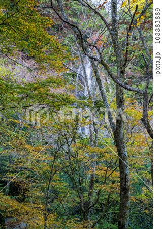 秘境の秋の五家荘紅葉風景 108883889