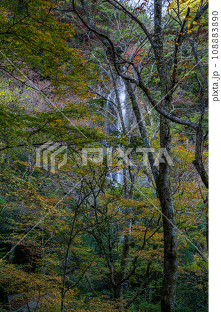 秘境の秋の五家荘紅葉風景 108883890