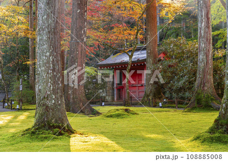紅葉が美しい京都大原三千院　朝日を浴びる朱雀門 108885008