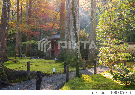 紅葉が美しい京都大原三千院 朝日を浴びる朱雀門 紅葉が美しい京都大原三千院 朝日を浴びる朱雀門 108885013