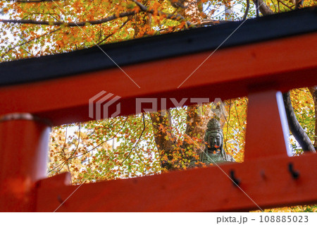 京都大原三千院　京の七福神　妙音福寿大弁財天 108885023