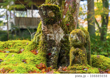 紅葉の京都大原三千院 おさな地蔵 紅葉の京都大原三千院 おさな地蔵 108885038