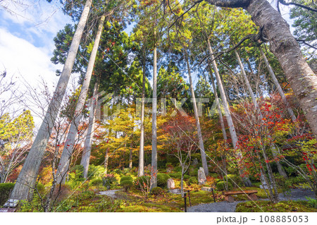 紅葉の京都大原三千院 二十五菩薩慈眼の庭 紅葉の京都大原三千院 二十五菩薩慈眼の庭 108885053