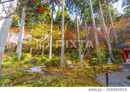 紅葉の京都大原三千院 二十五菩薩慈眼の庭 紅葉の京都大原三千院 二十五菩薩慈眼の庭 108885054