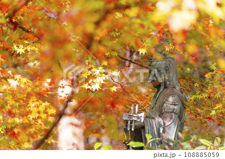 秋の京都大原三千院　京の七福神　妙音福寿大弁財天 108885059
