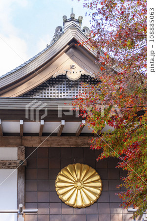 京都大原三千院　赤く色づいたモミジと円融房梨菊紋 108885063