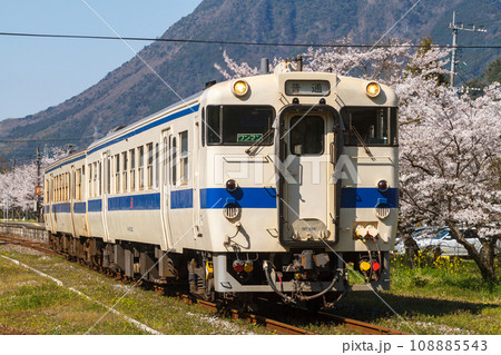 桜満開の中を走るキハ147系気動車 108885543