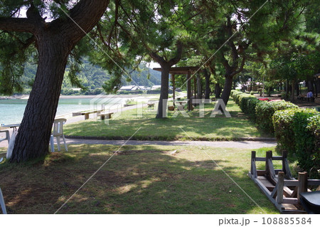 隠岐の島町中村海水浴場木陰の景色 隠岐の島町中村海水浴場木陰の景色 108885584