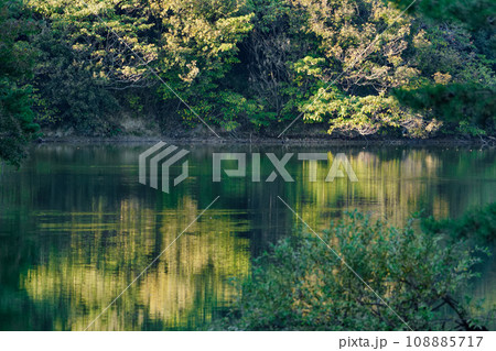 愛知県森林公園岩本池の秋 愛知県森林公園岩本池の秋 108885717
