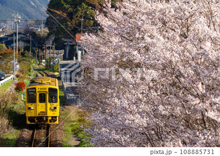 桜の中を走るローカル線 108885731